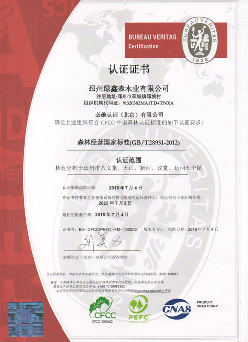 Certificate 1